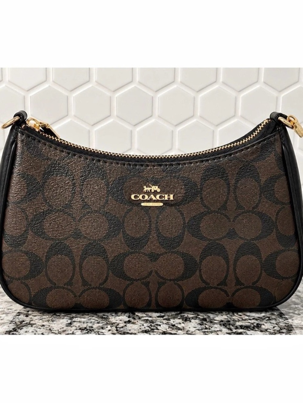 Coach Teri Shoulder Bag in Signature Canvas Brown & Black